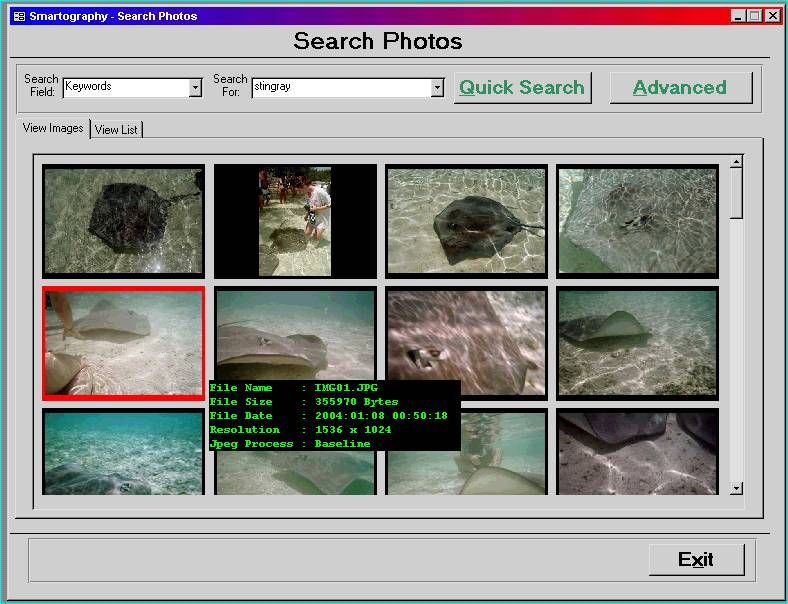 Search Photos Dialog Box